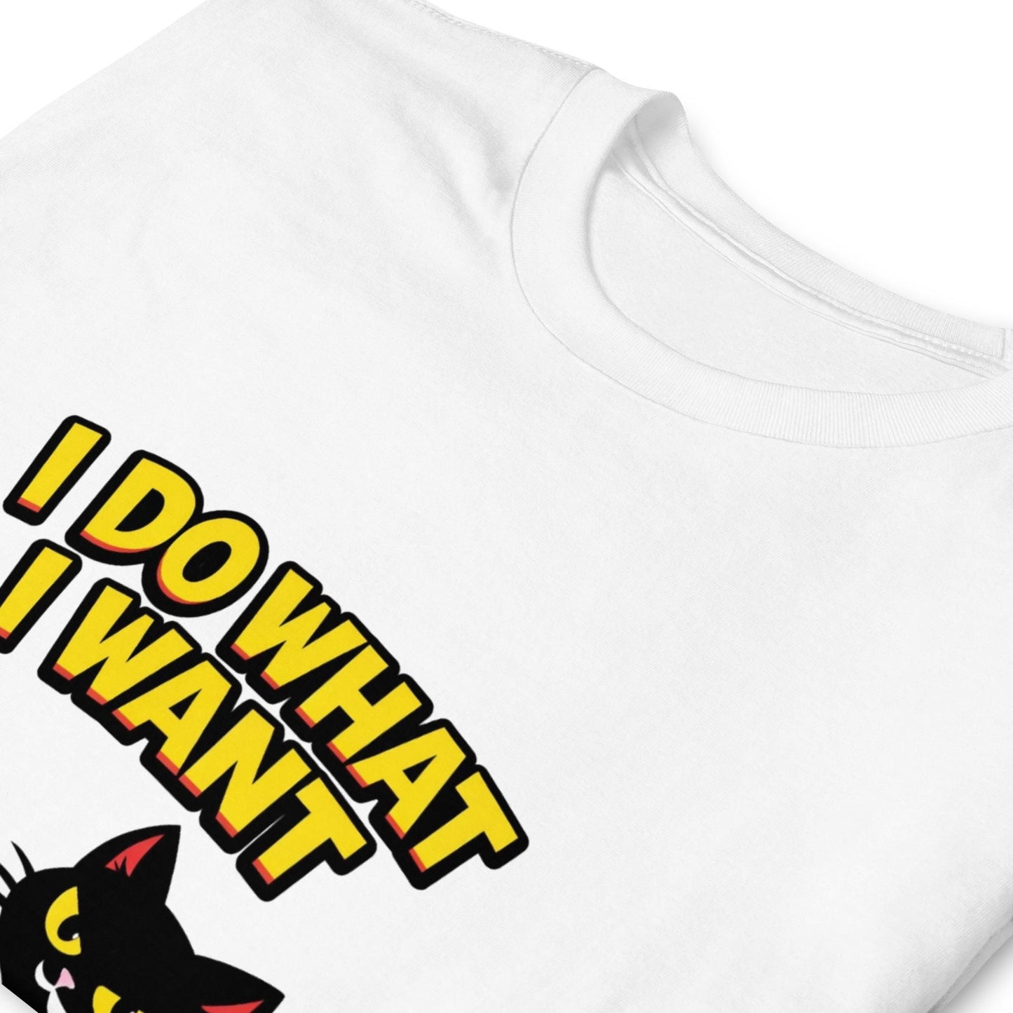 I Do What I Want Black Cat T-Shirt – Mischievous Kitty Pet Owner Humor Tee